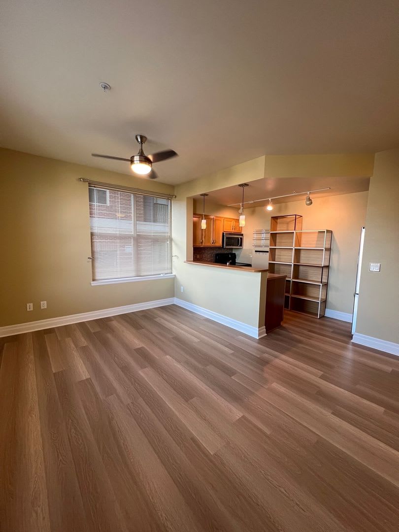 910 Harris St.#201 in Fairhaven Bellingham – photo 2