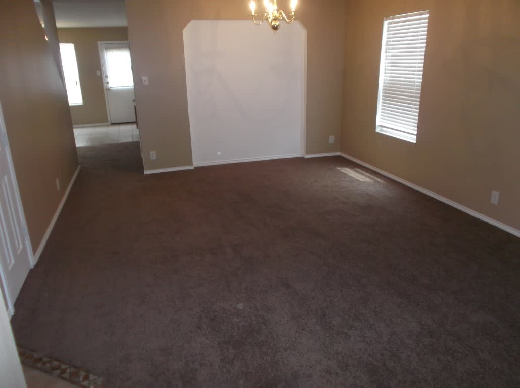 246 Blue Juniper – photo 2