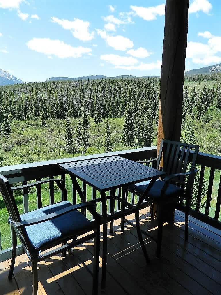 Long Term Rental- Forest Park 81D – photo 3