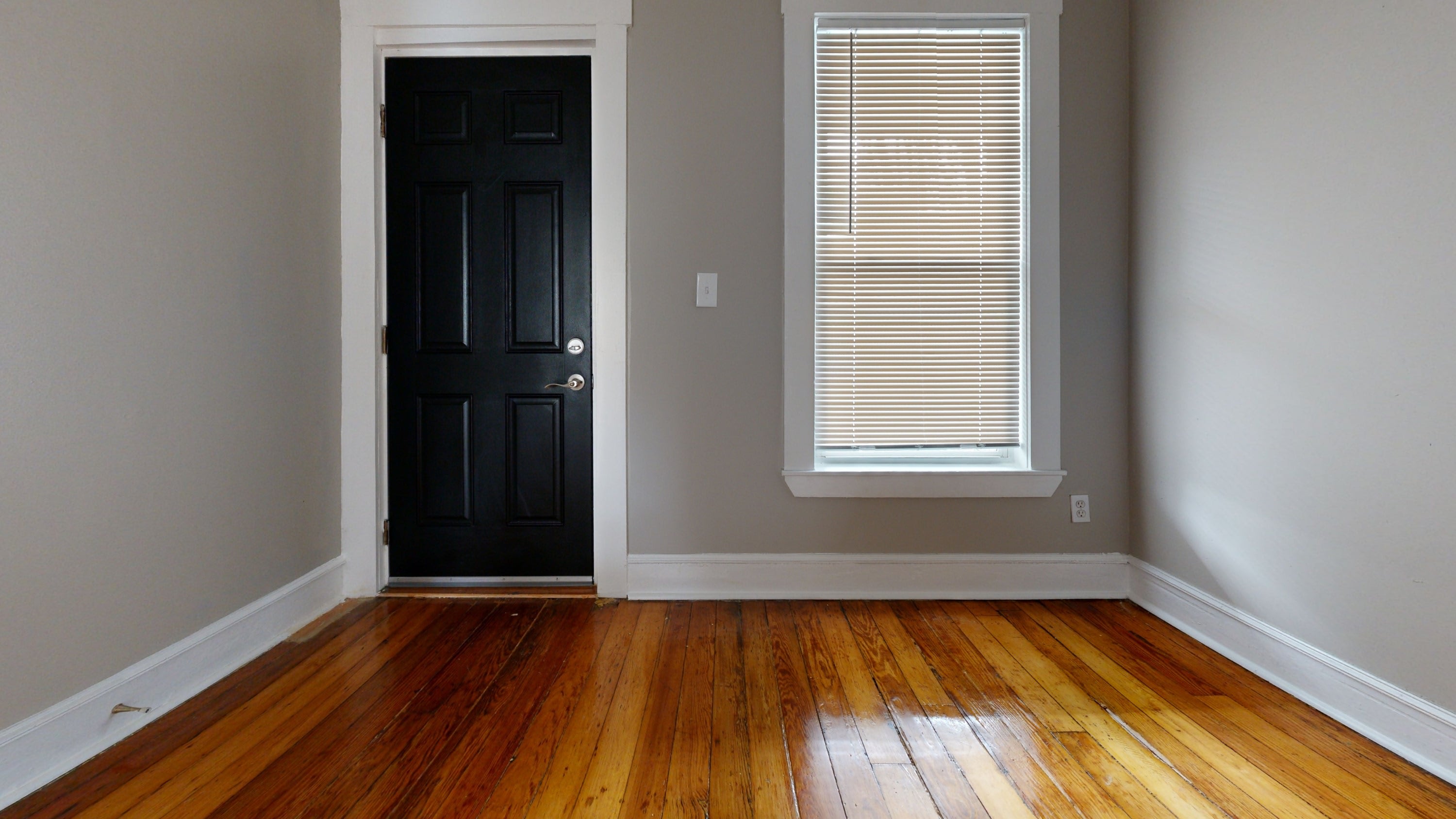46-48 Fuller Street46-48 Fuller Street – photo 4