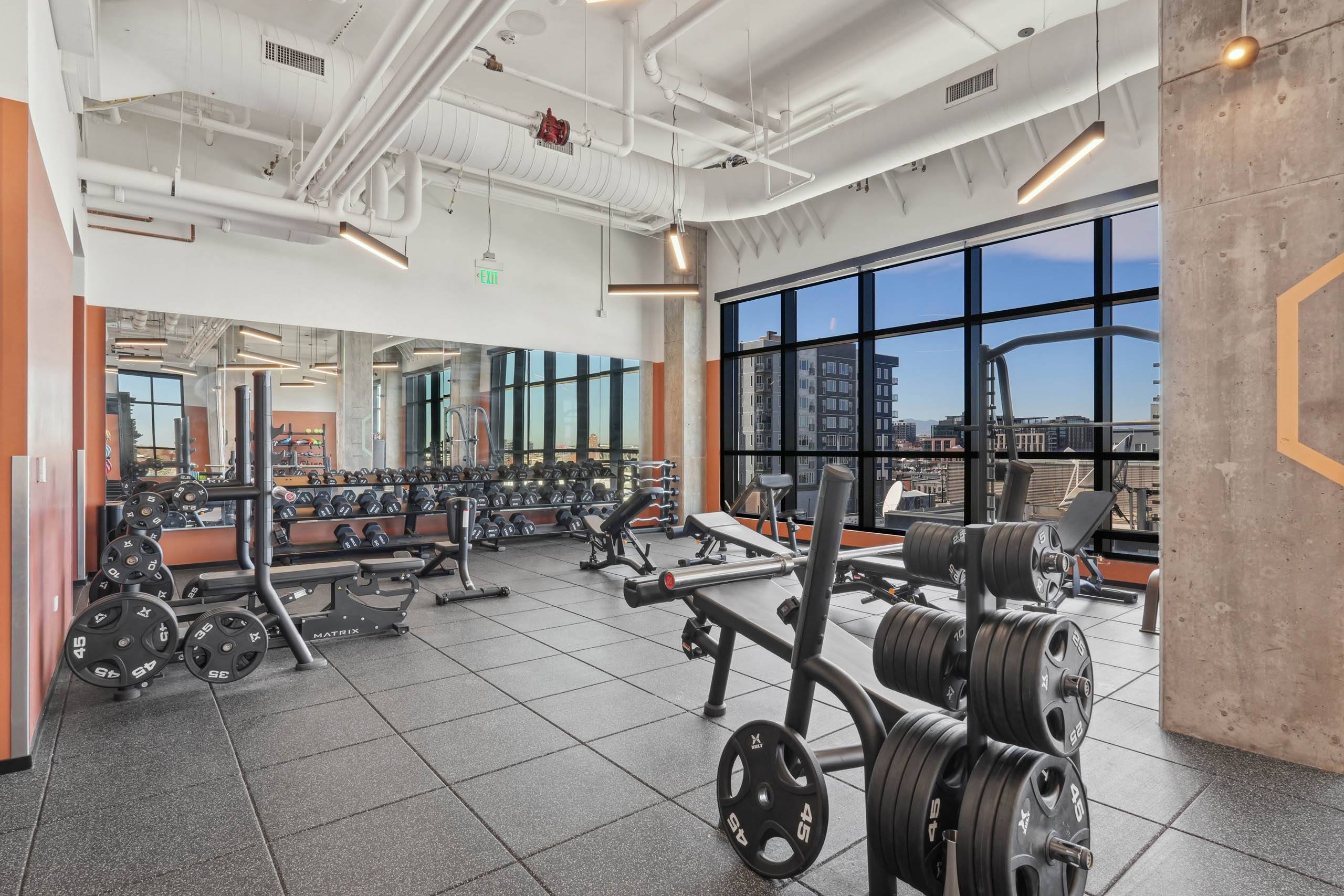 Velaris Living – photo 2