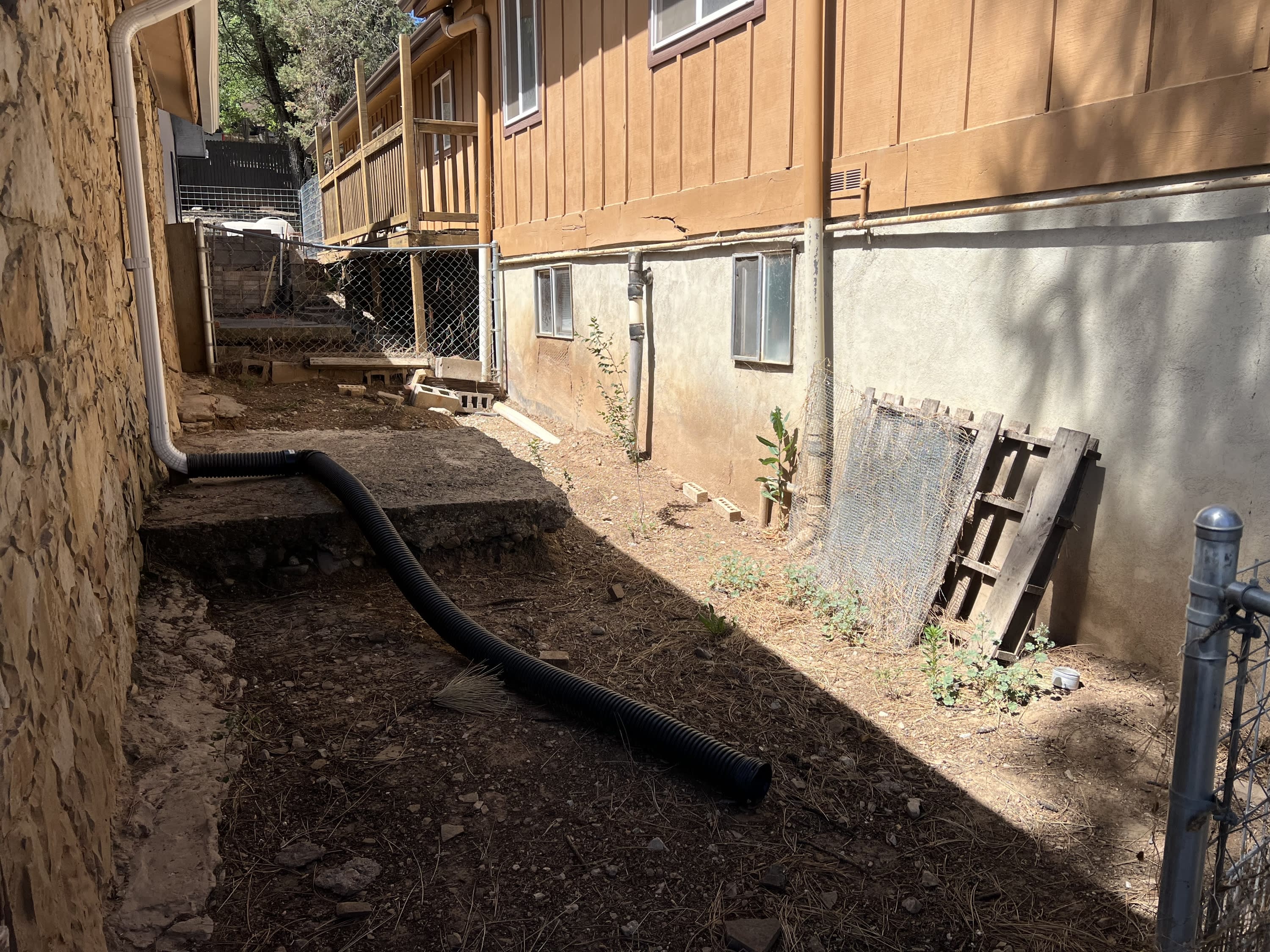 117 Wingfield StreetUnit A – photo 5