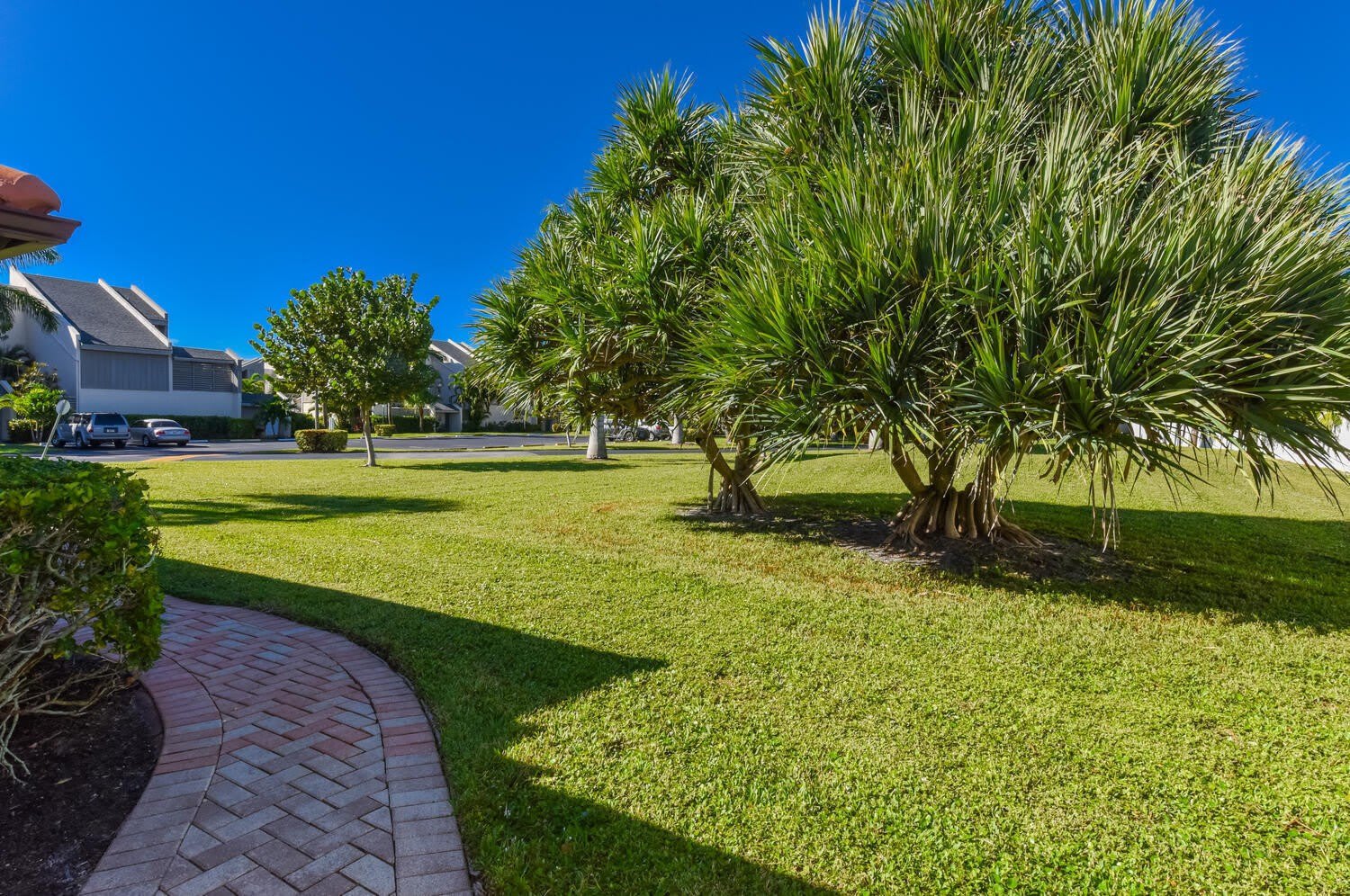1469 Via Privada – photo 5