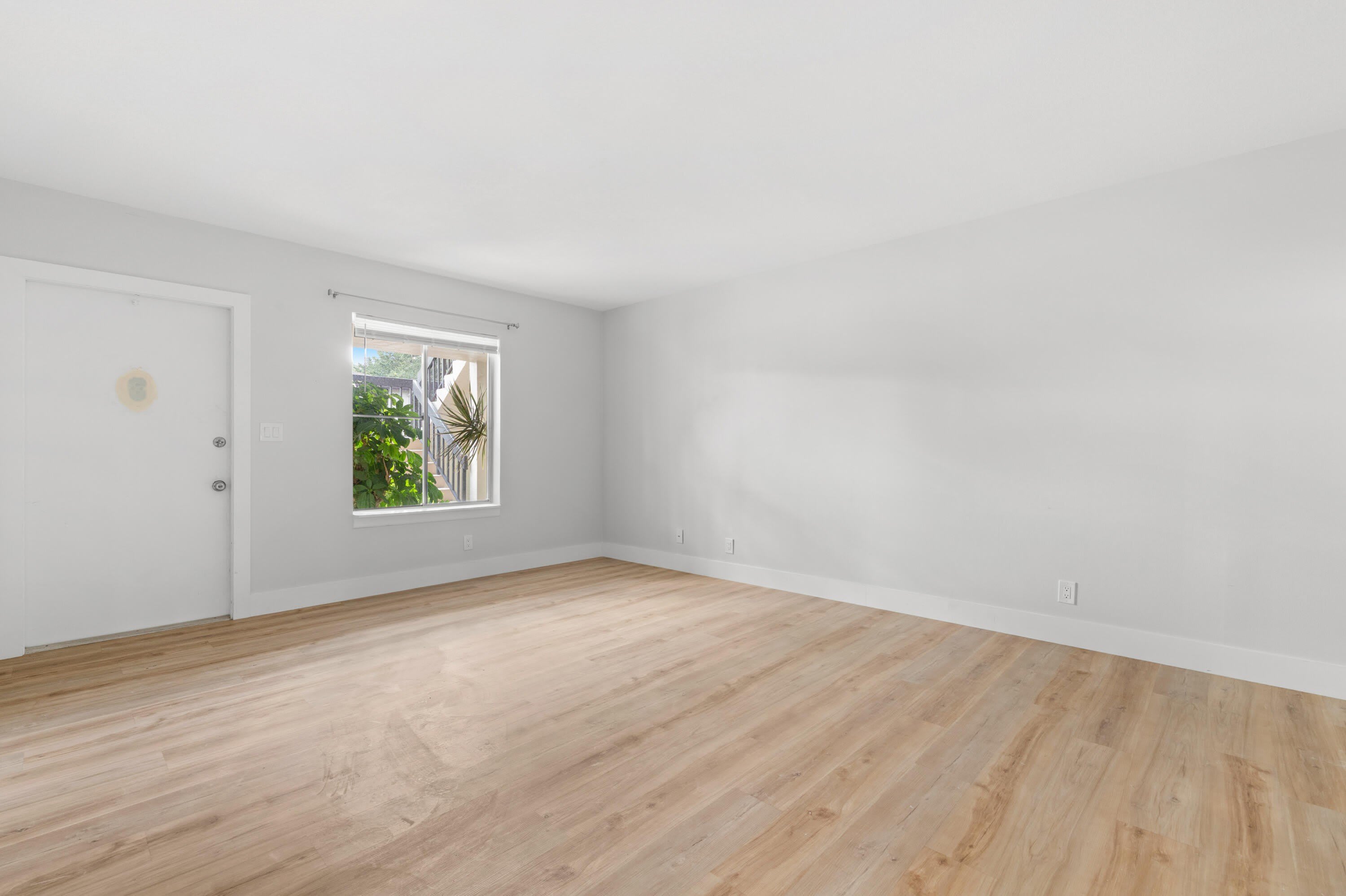 6446 Chasewood Drive – photo 4