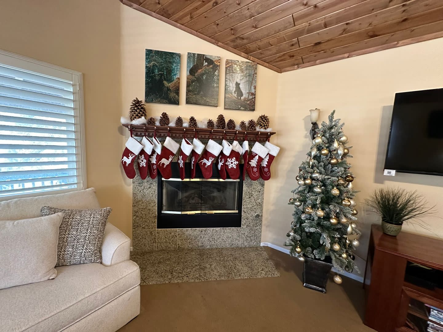 Gorgeous 3 Bed 2 5 Bath Cabin Style Home – photo 5