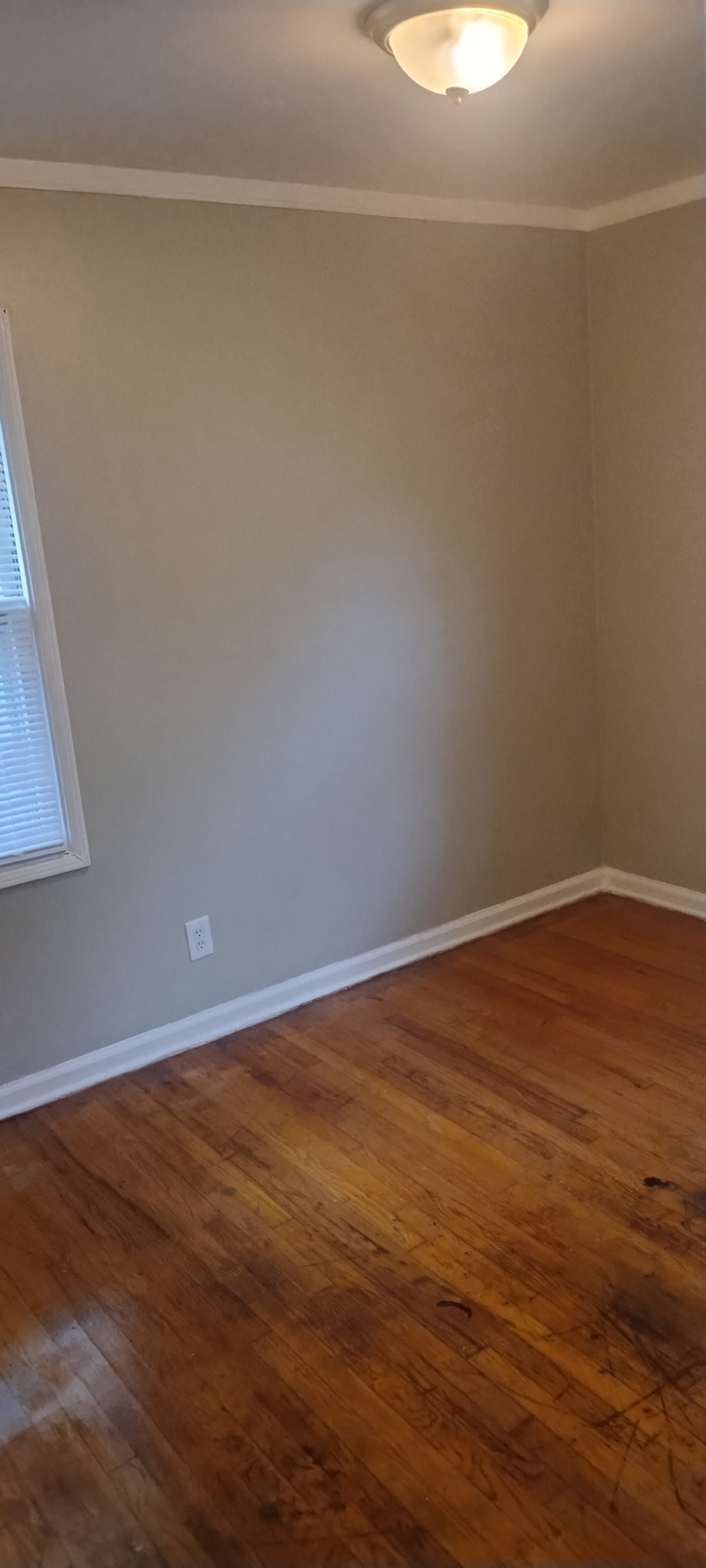 16620 Liberal Street – photo 5
