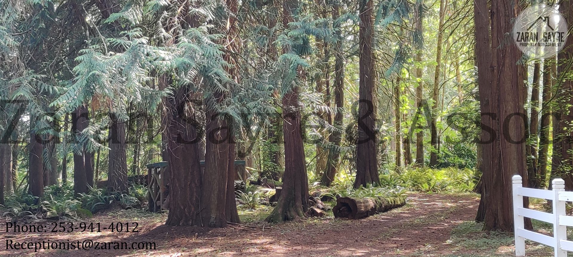 409 – photo 2