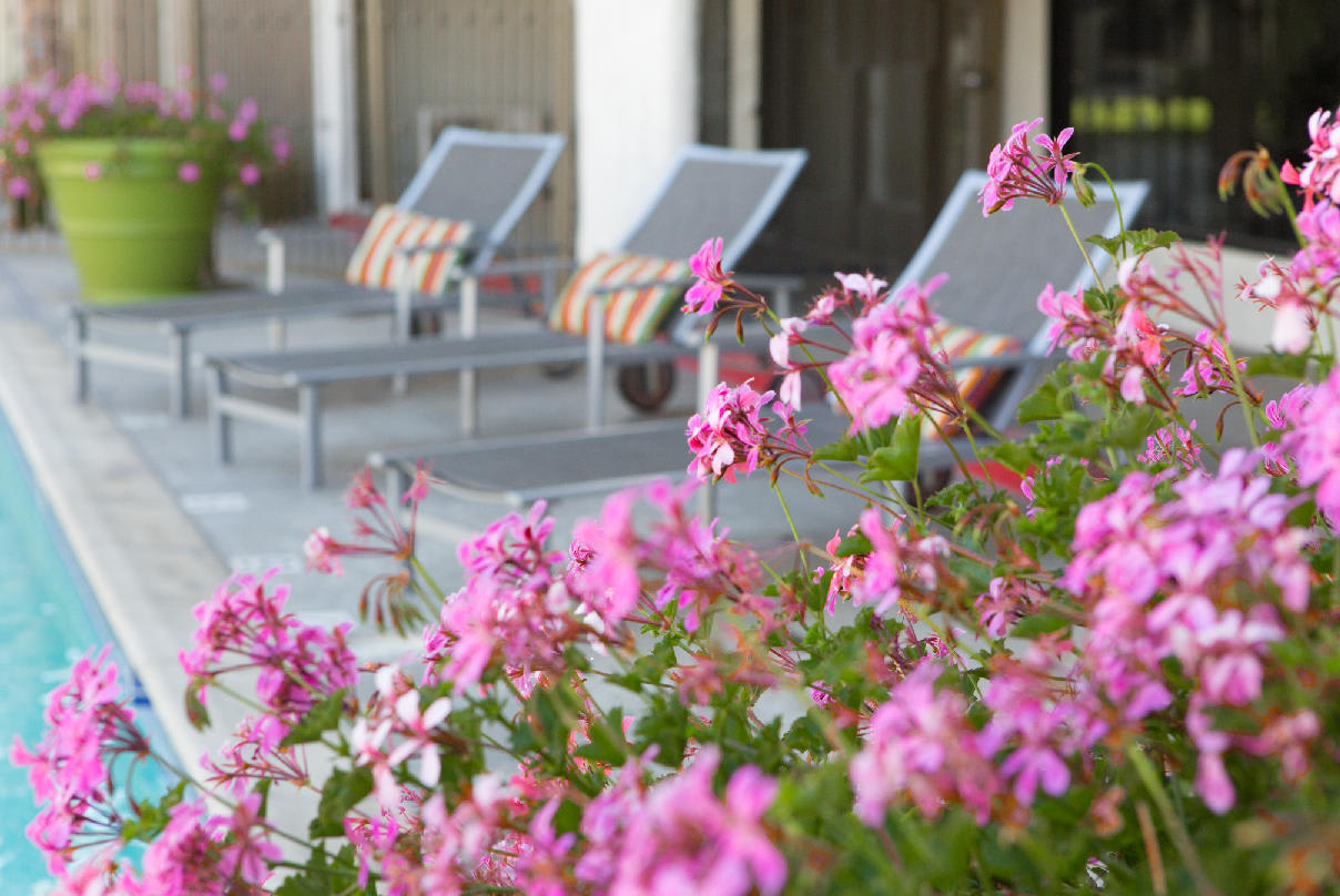 Park Terrace – photo 4