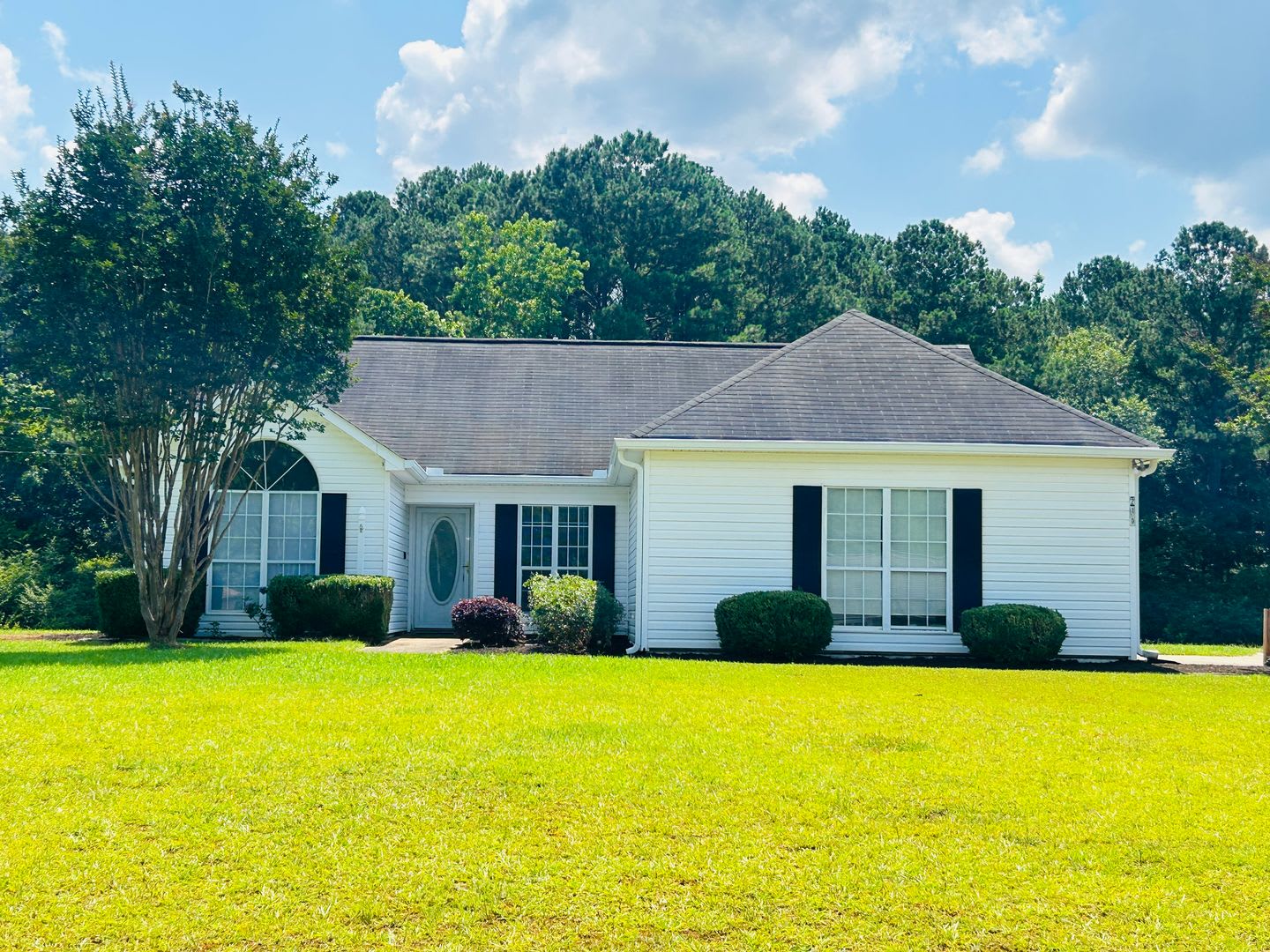 Welcome Home! Adorable 3 bedroom 2 full bathroom home in Newnan! Must see! – photo 1