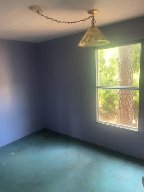 127 Emily St – photo 4