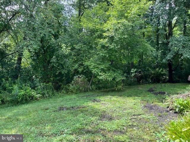 75 KENWOOD – photo 3