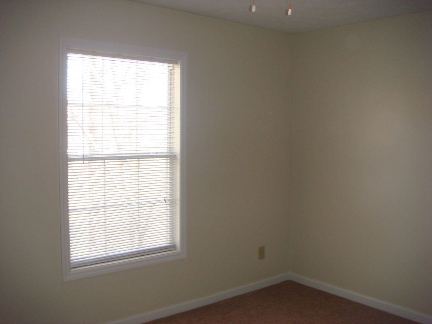 Charming 2 Bed, 1.5 Bath Rental in a Convenient Location – photo 5