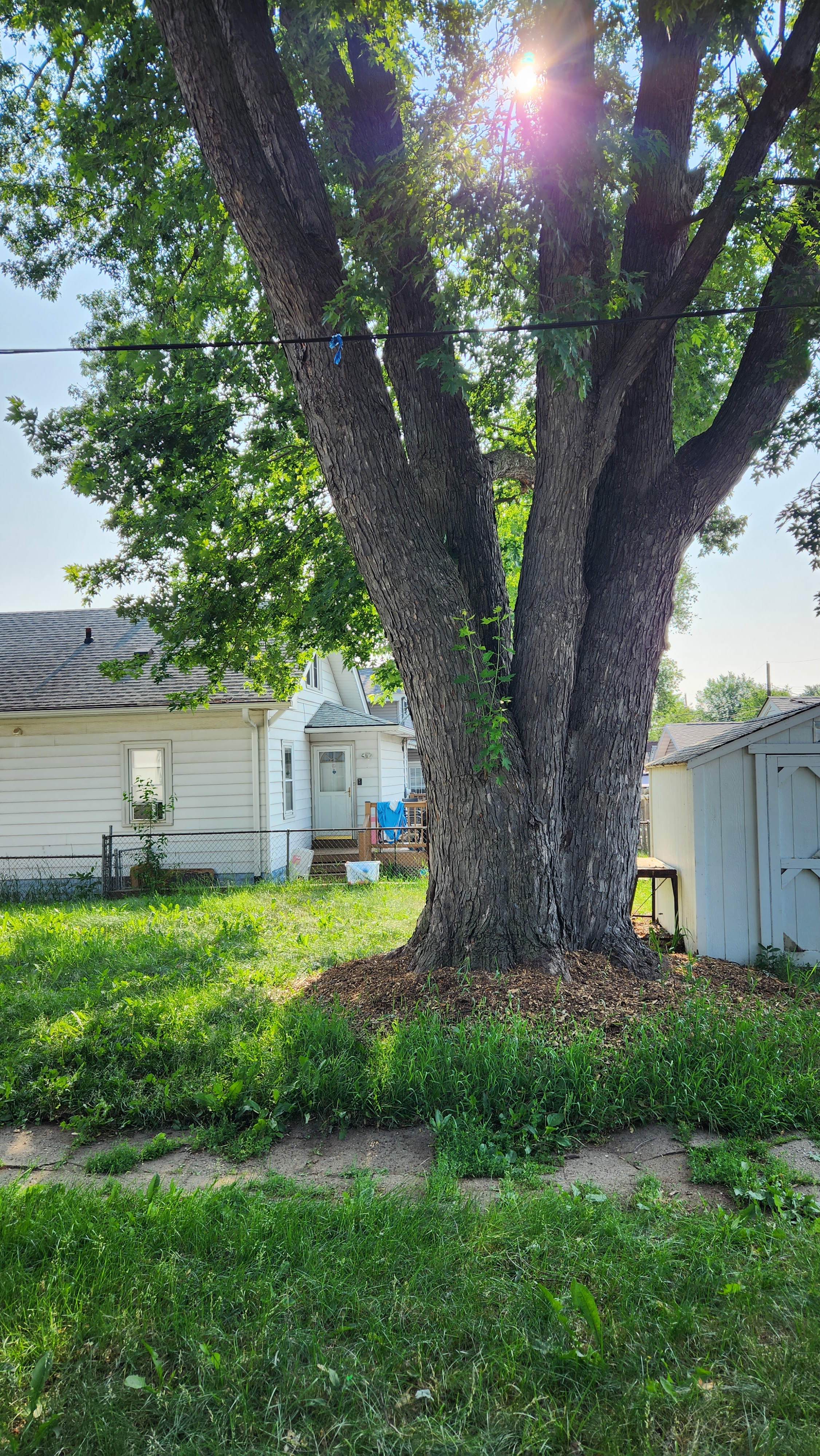 942 Rose Avenue East – photo 4