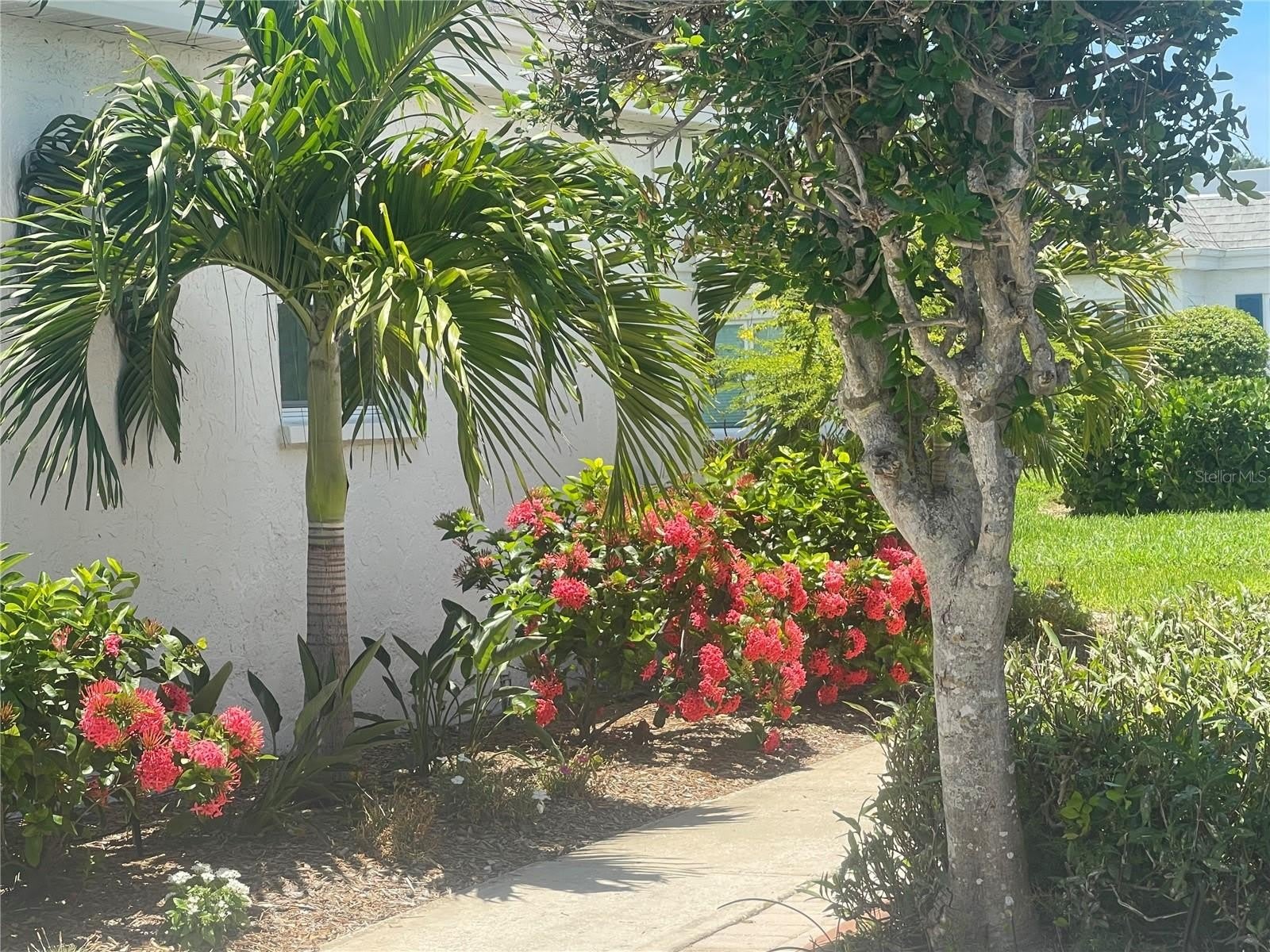 9819 HERNANDO Court – photo 4