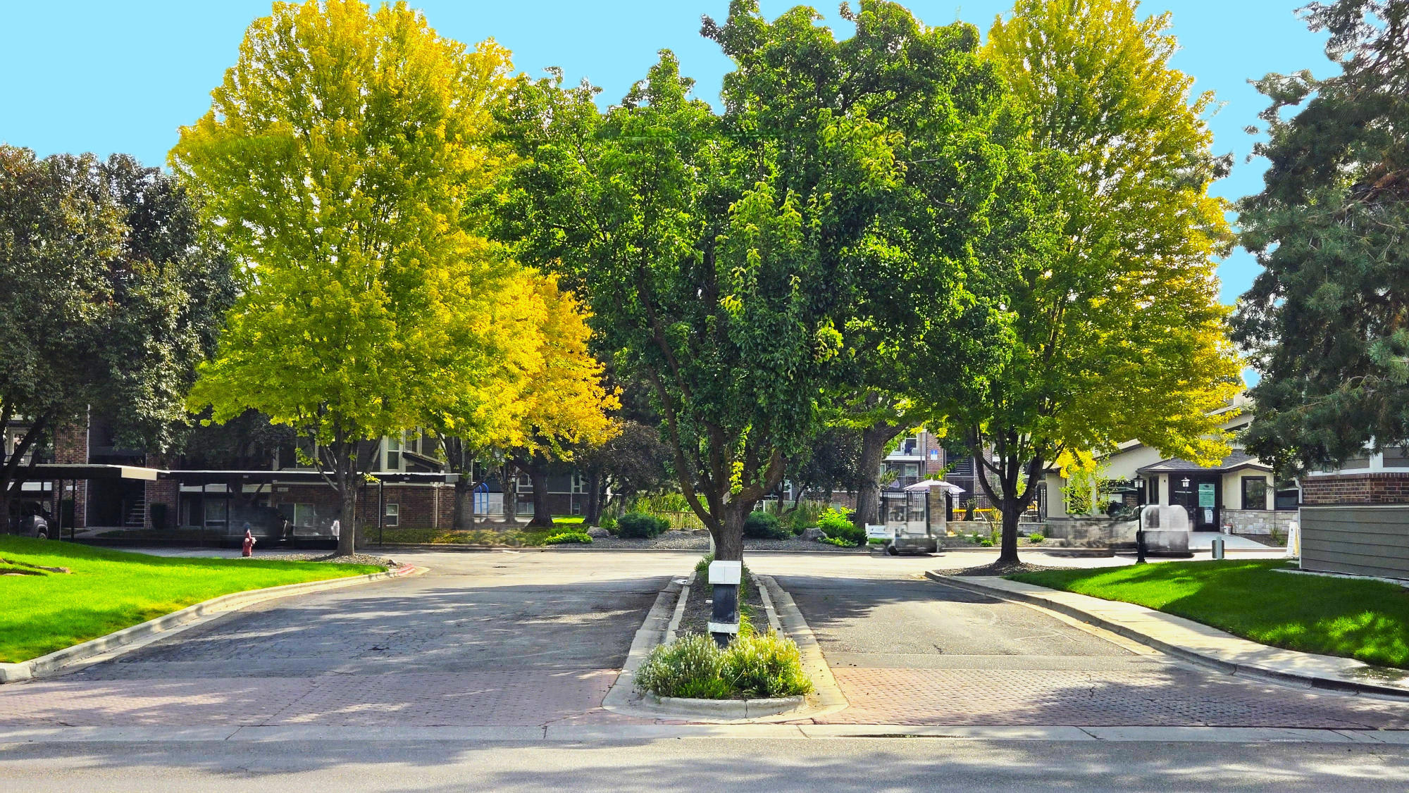 Springs of Royal Oaks – photo 4