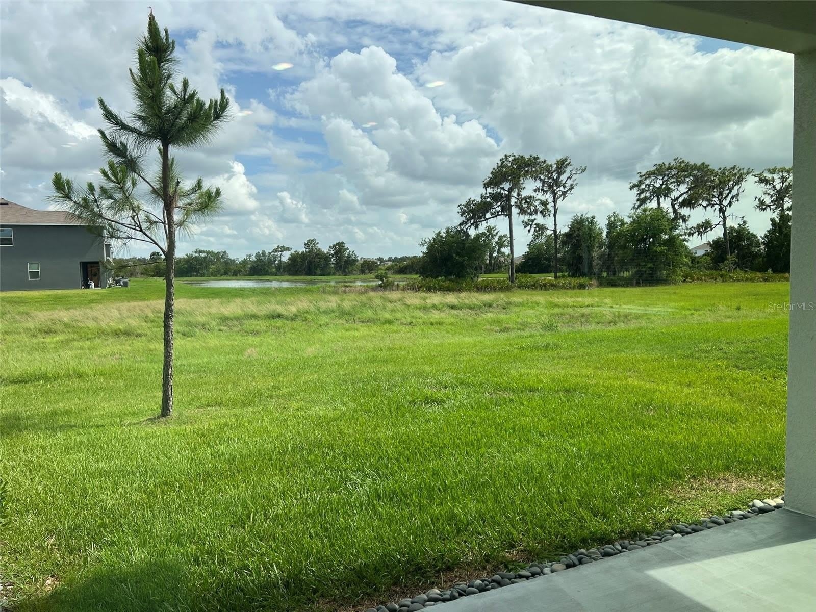32978 Tulip Petal Lane – photo 3