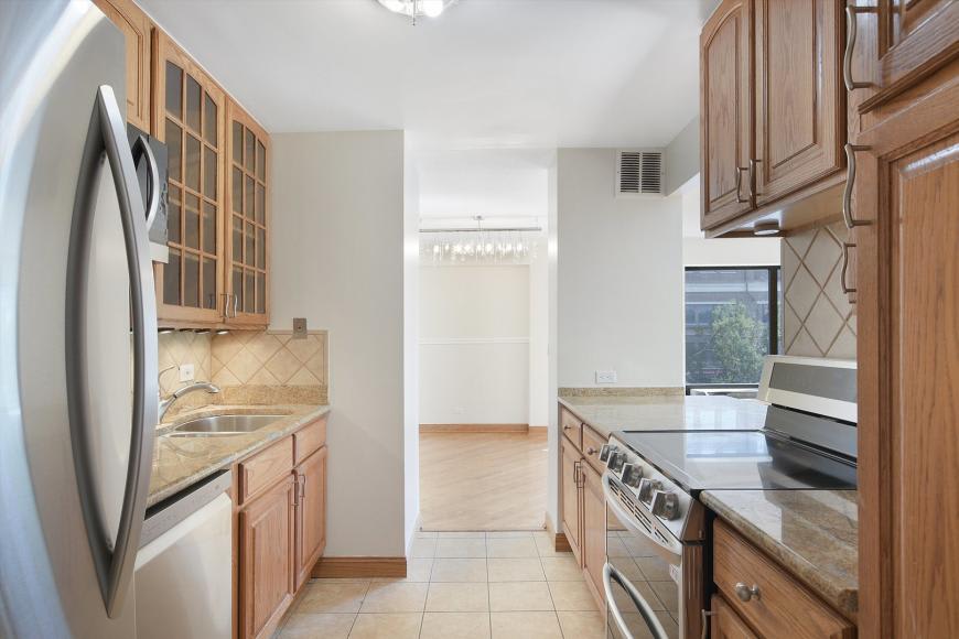 1169 South Plymouth Ct – photo 3