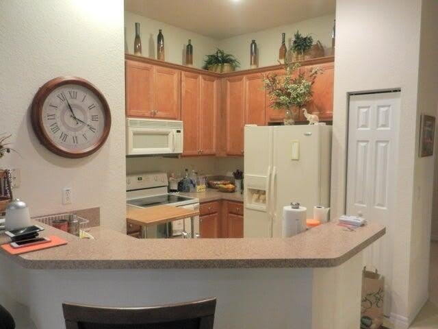 4870 Bonsai Circle – photo 5