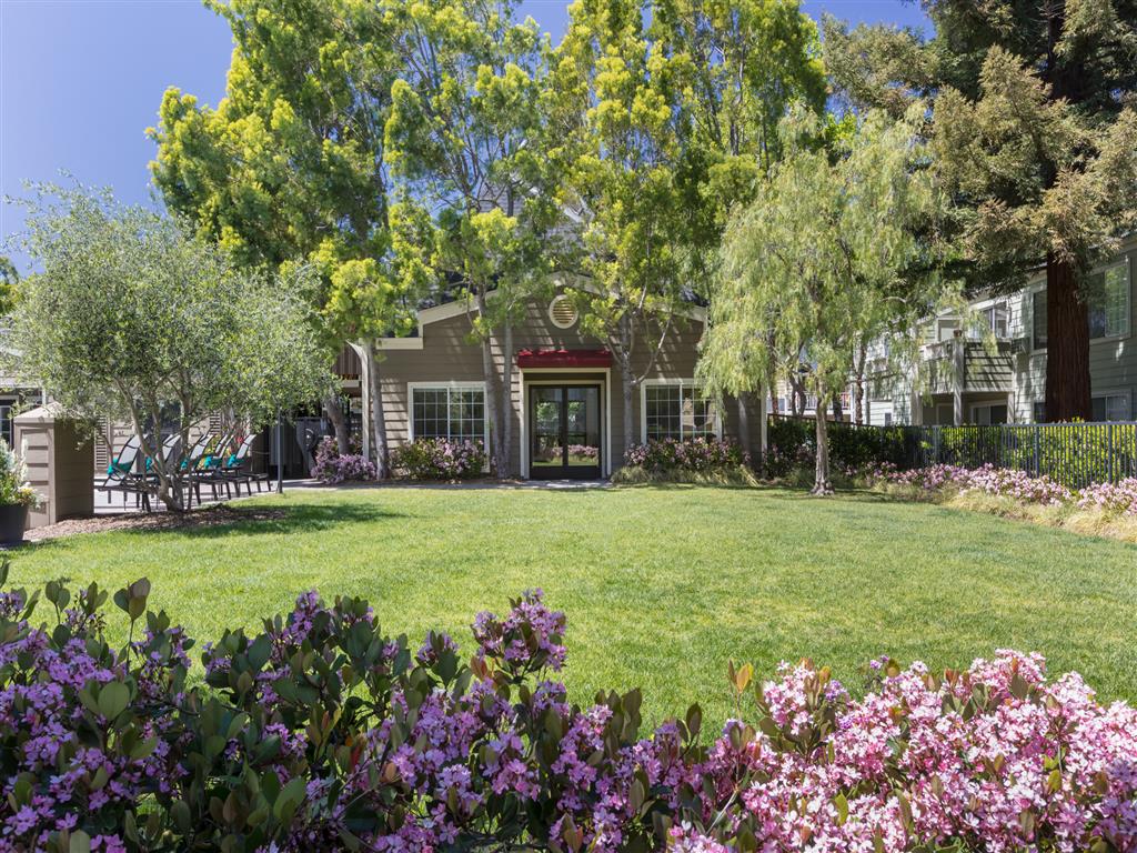Central Park At Whisman Station – photo 2