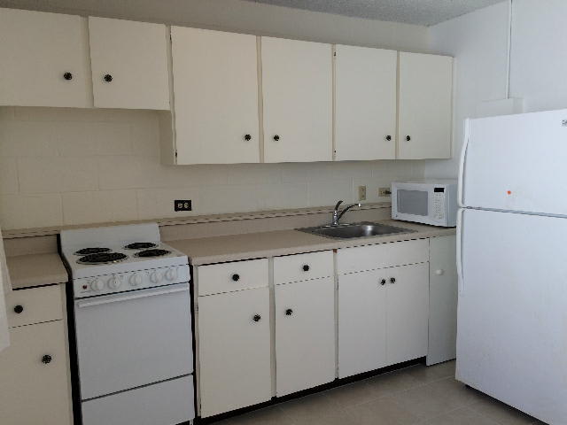 1099 Green Street – photo 4