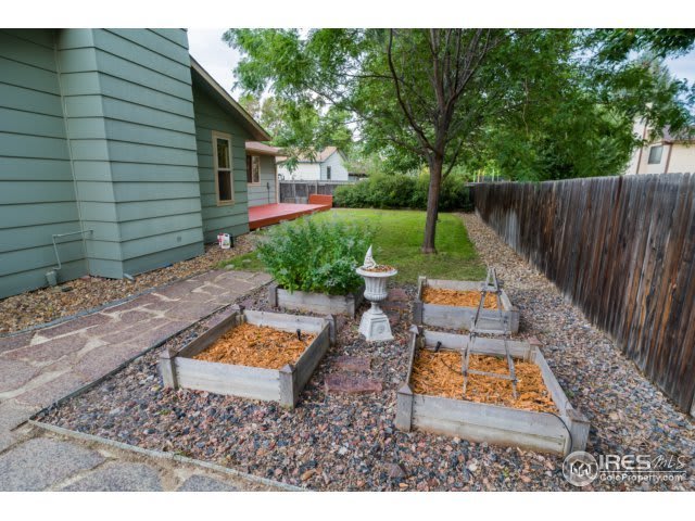 Must see House in North Longmont – photo 4