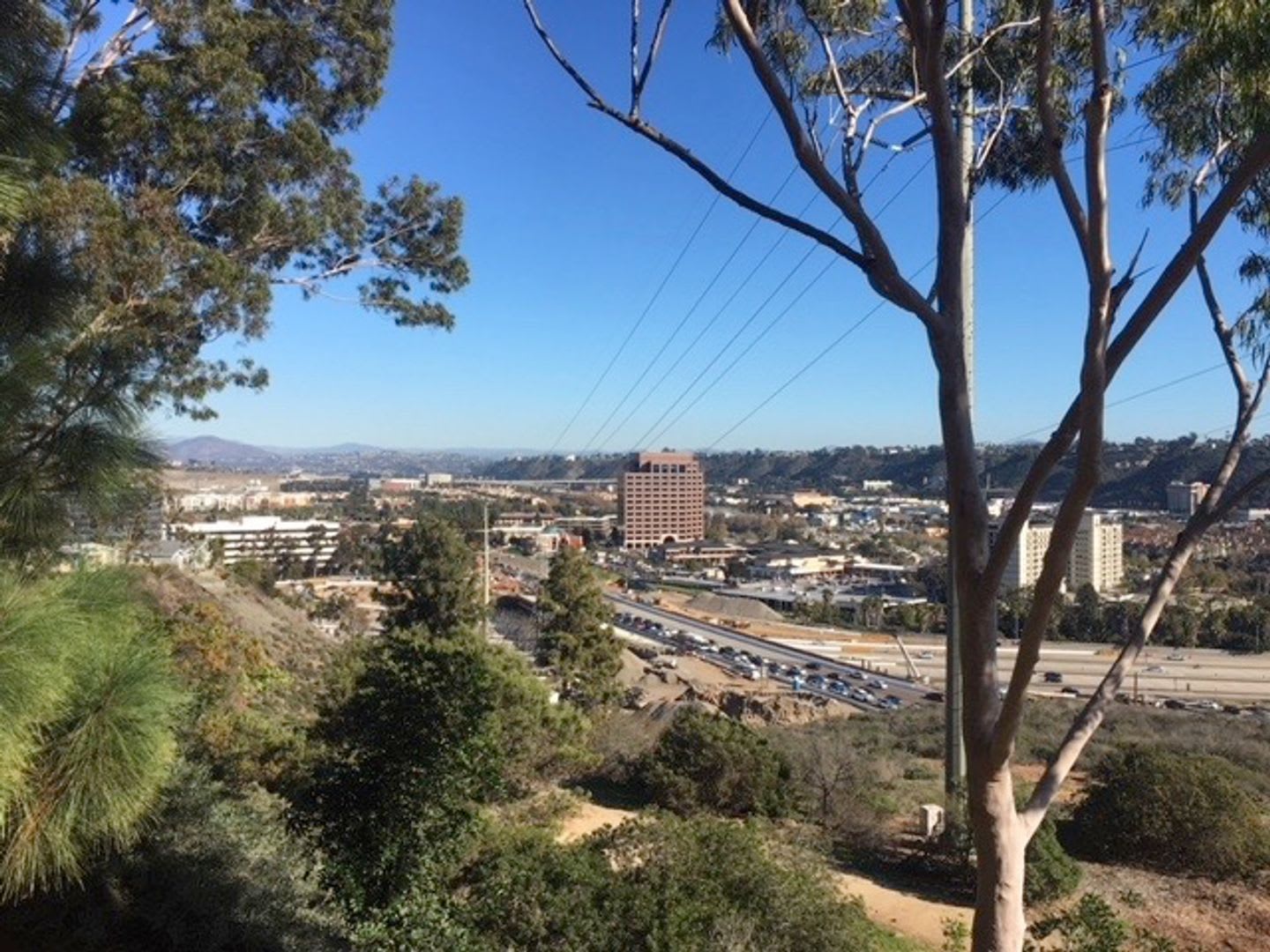 VIEW! VIEW! VIEW! – photo 2