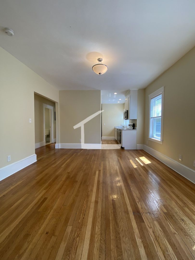 Unique Brookline Apt with higher ceil...For you 9/1/26 – photo 5