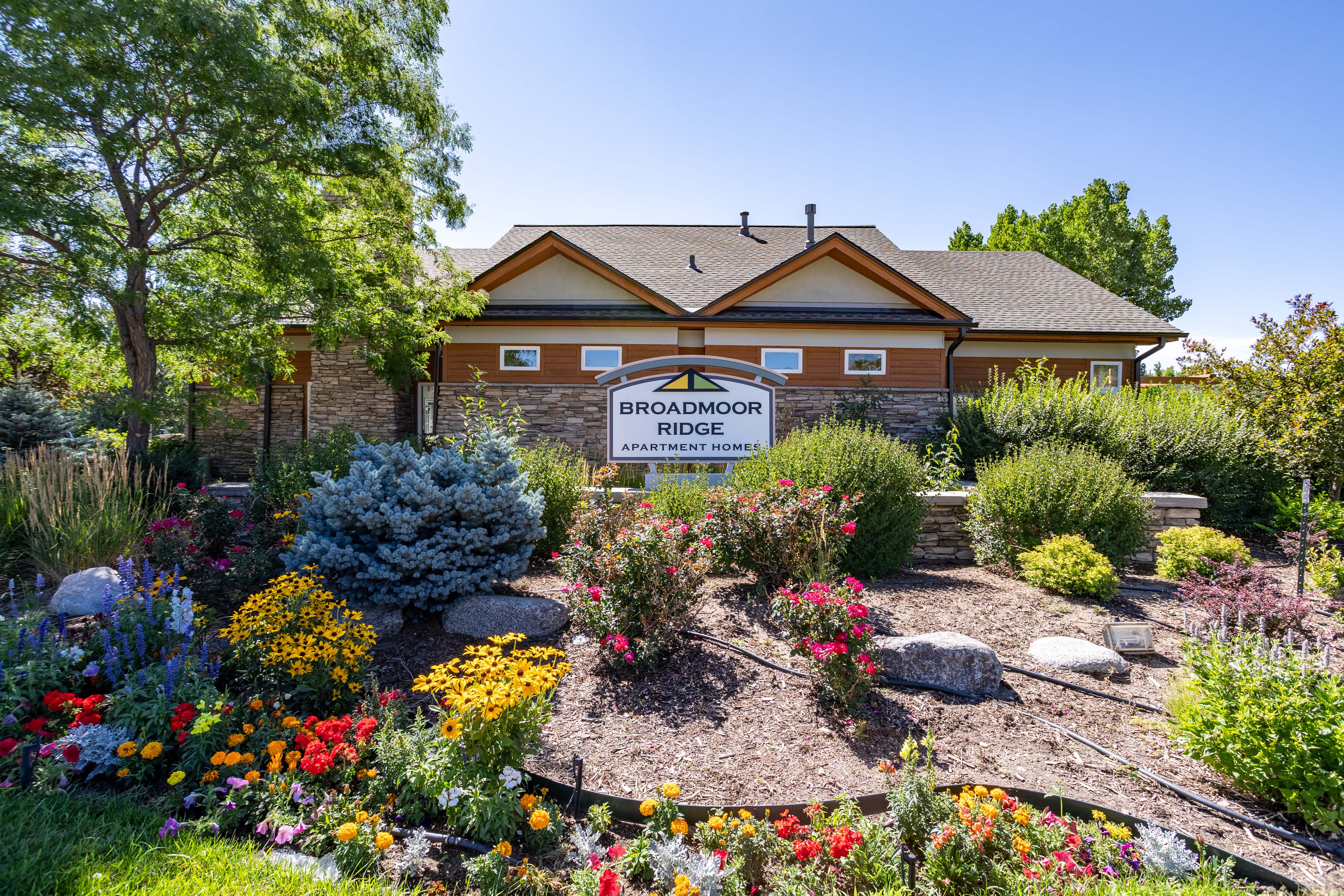 Broadmoor Ridge – photo 1