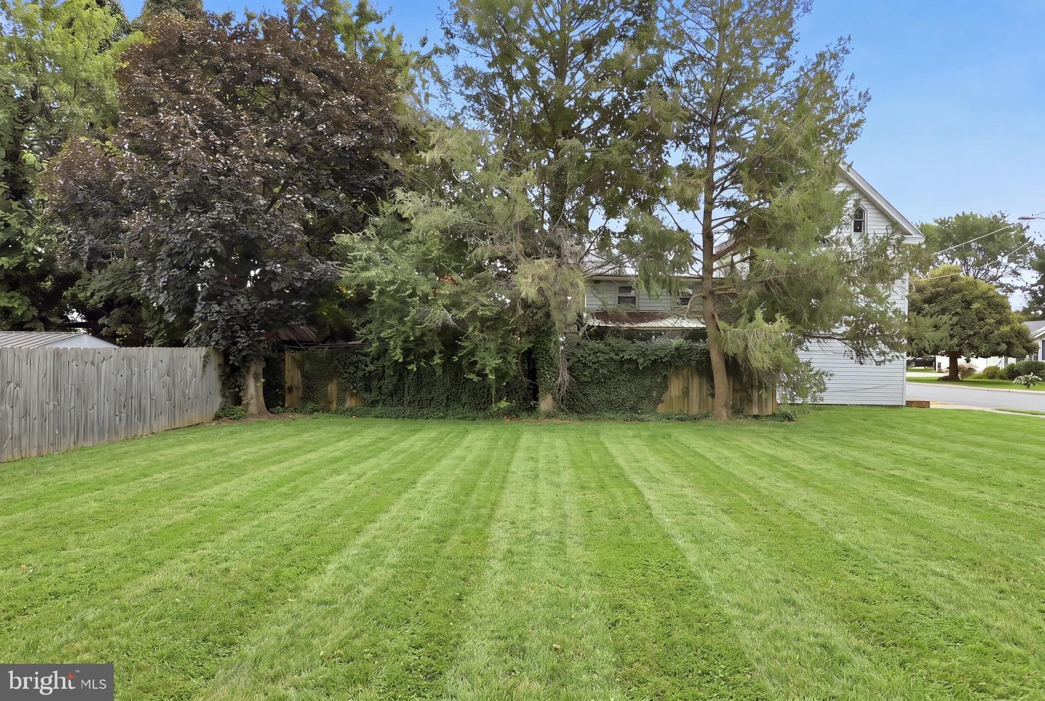 4 THORN Street – photo 5