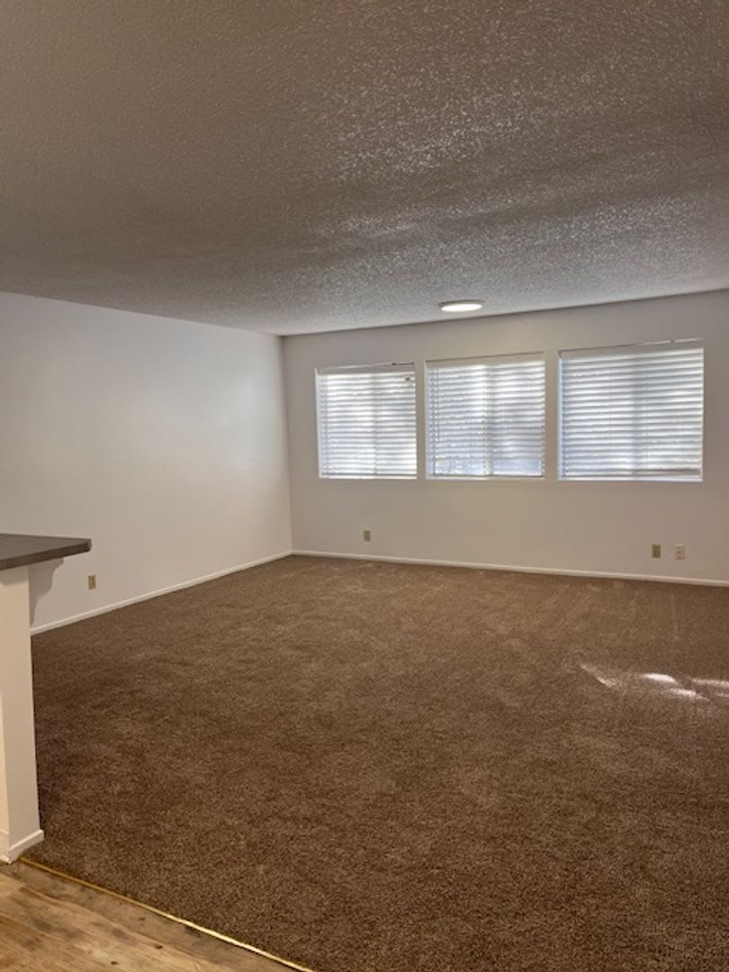 Rare Complex located conveniently behind Round Hill Square in walking distance to the Lake. – photo 2