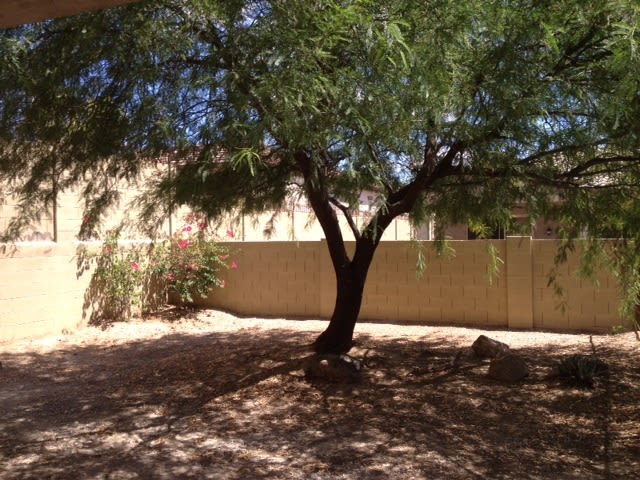 Coming Soon Open And Airy 4 Bedroom Home With Private Pool In West Wing Peoria – photo 3