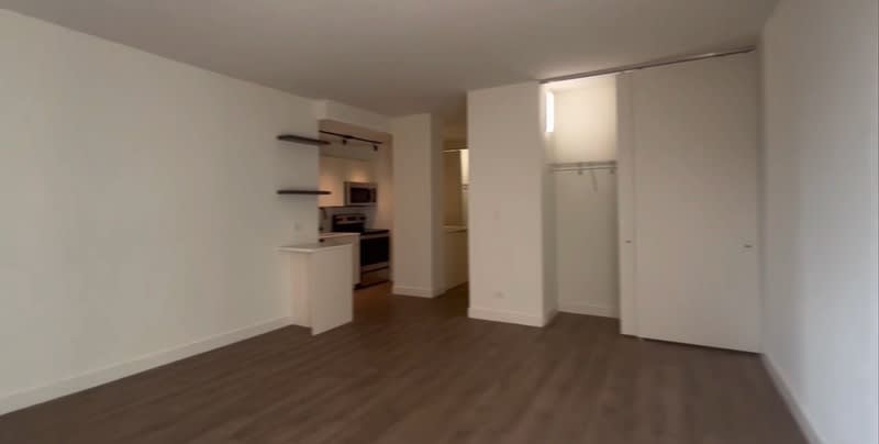 14 W chestnut – photo 1