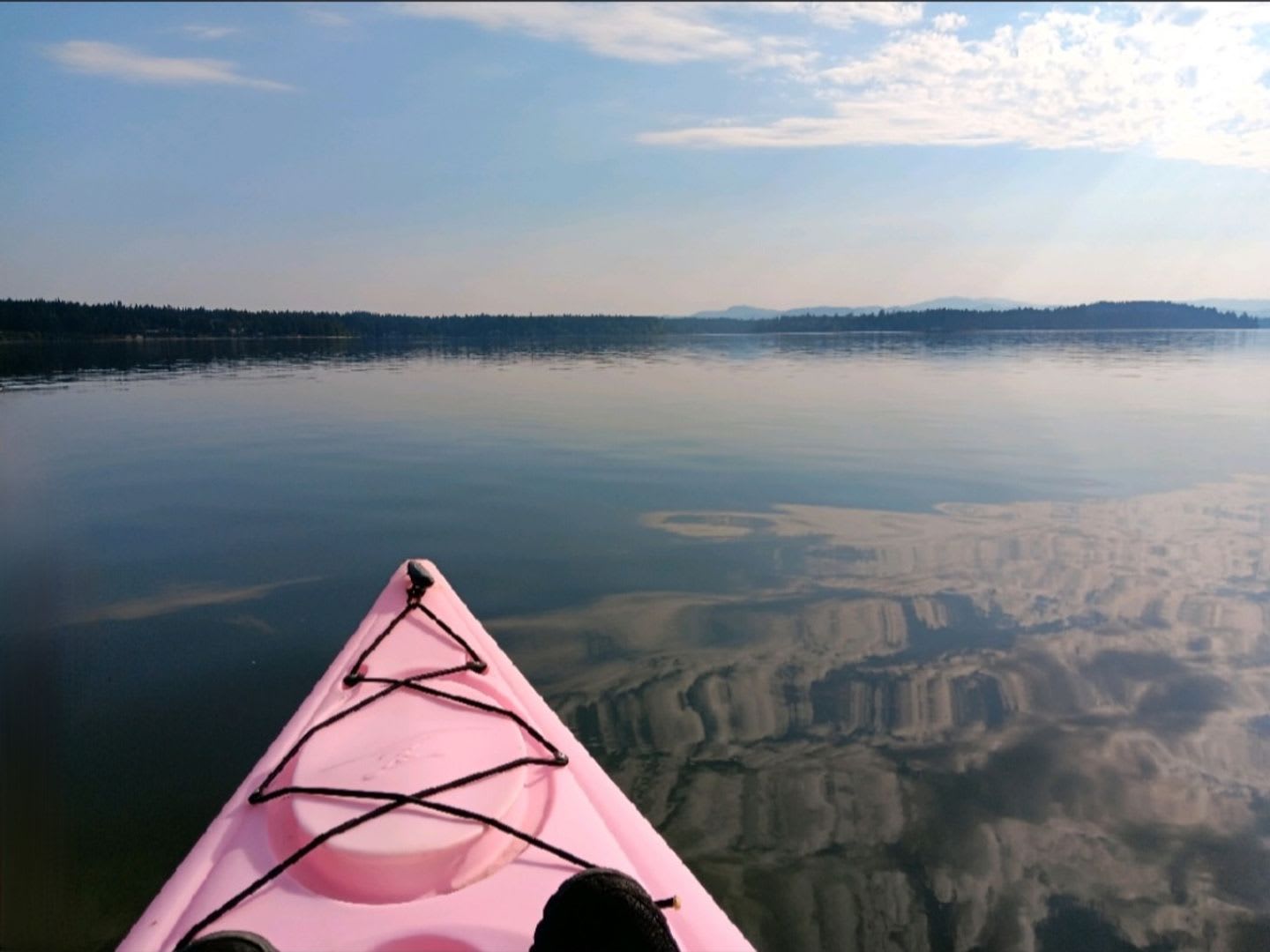 Beautiful Home On The Totten Inlet – photo 2