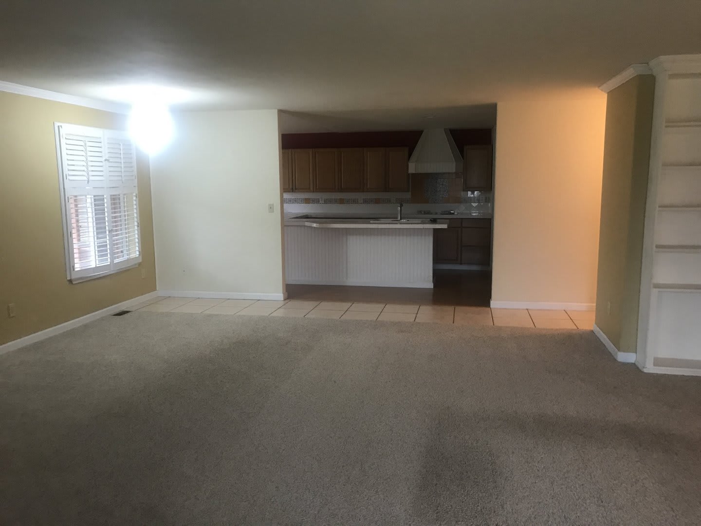 20968 Travis Lane – photo 4