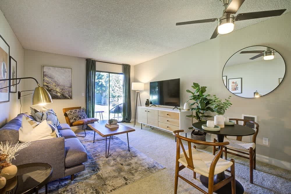 Terra Apartments – photo 3