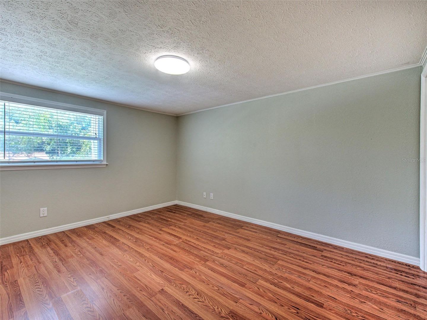 South Tampa single family – photo 3