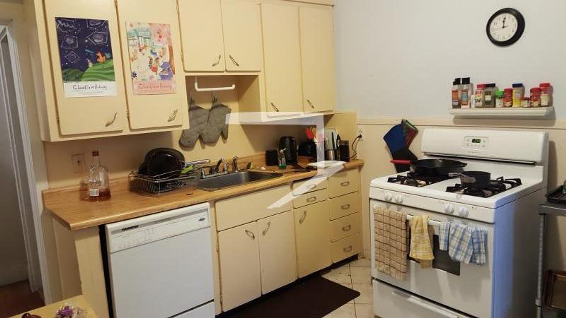 162 Thorndike St #1A Brookline MA 02446 – photo 5