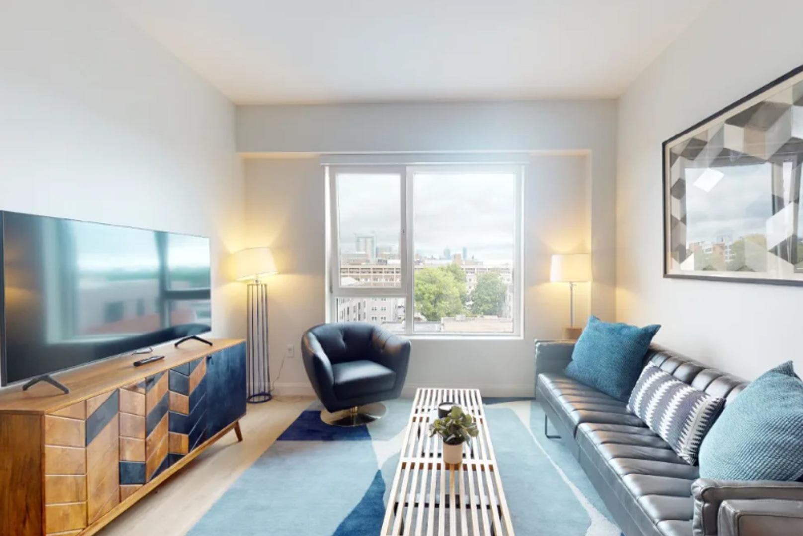 Modern new construction Allston @ Packard's Crossing – photo 2