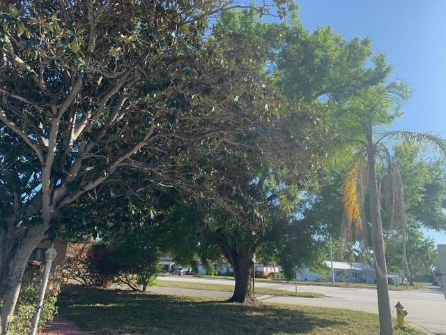 1781 Tyrone Blvd – photo 3