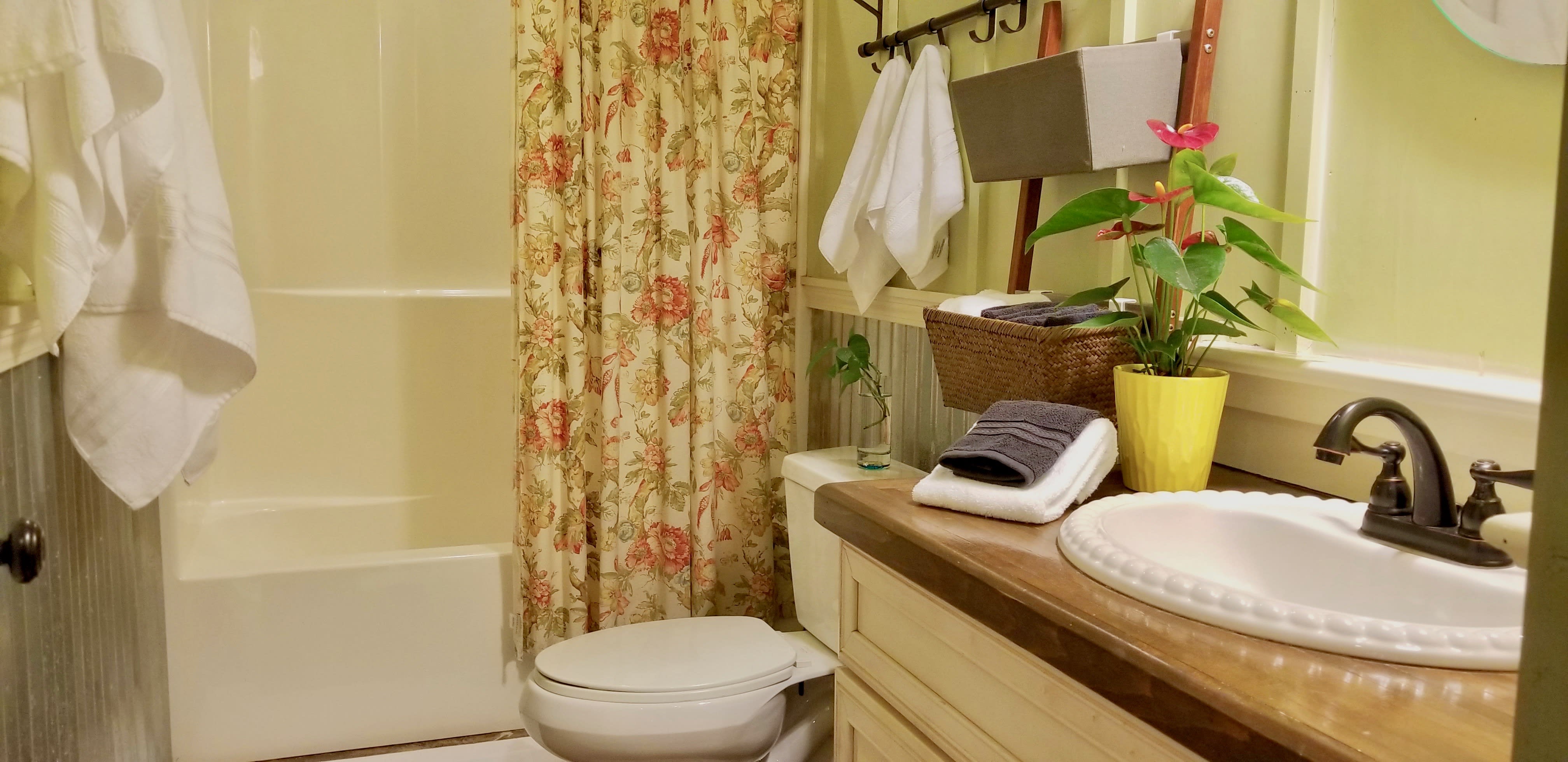 203 Lucky Horse Lane – photo 3