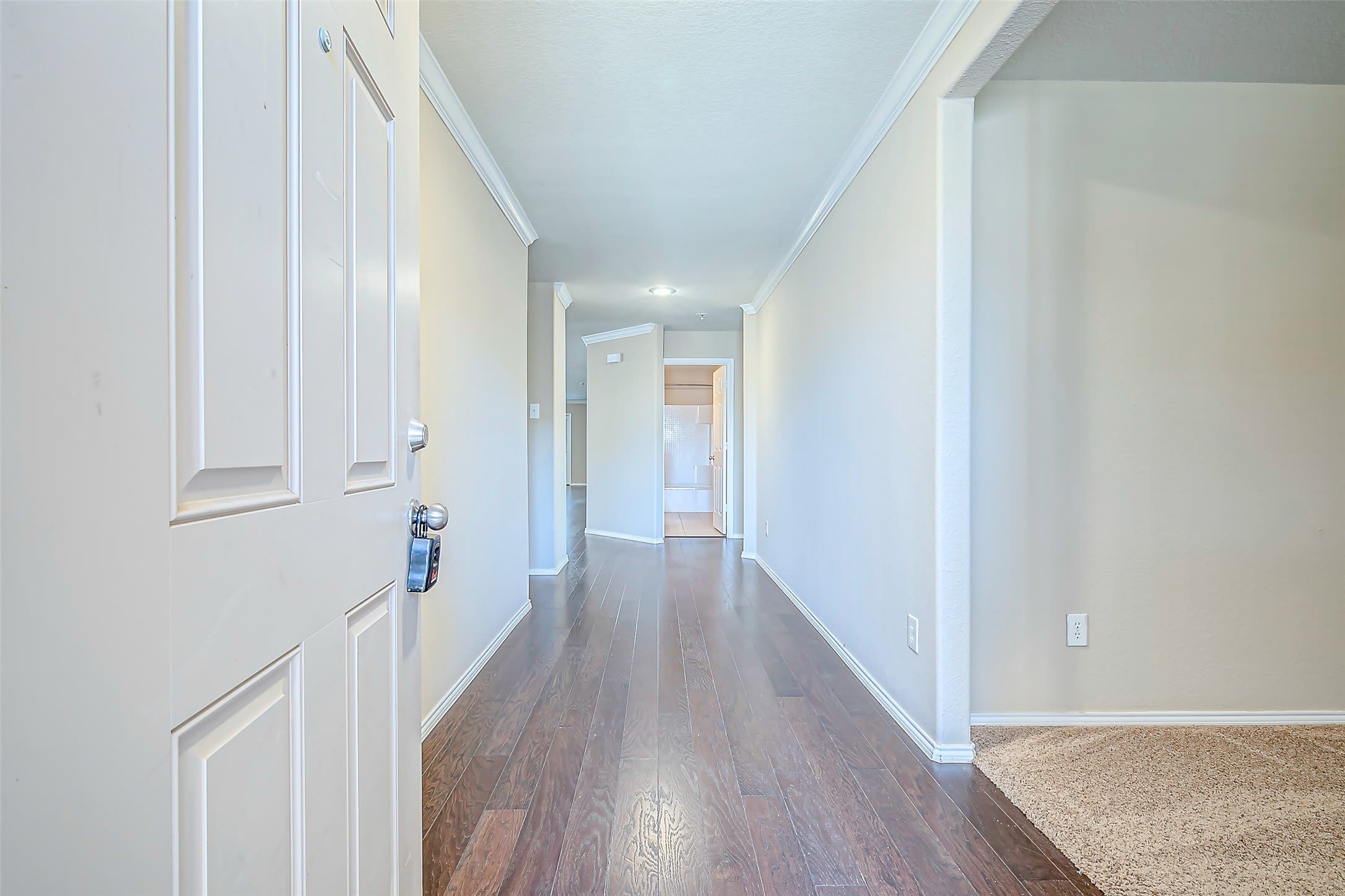 120 Abelia Drive – photo 4