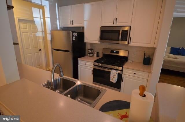 300 PEBBLE Drive – photo 2