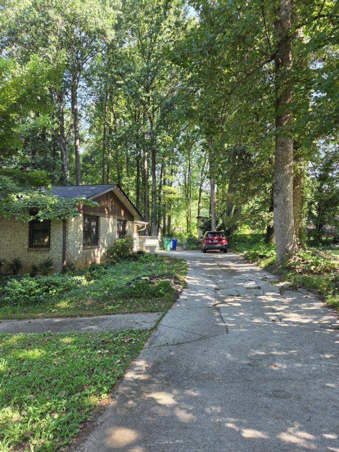 4038 Briarglade Way – photo 4