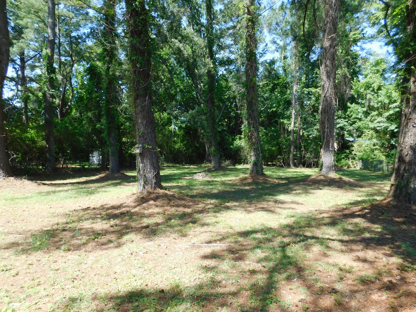 4004 Brandywine Drive conveniently located between Historic New Bern & MCAS Cherry Point! – photo 2