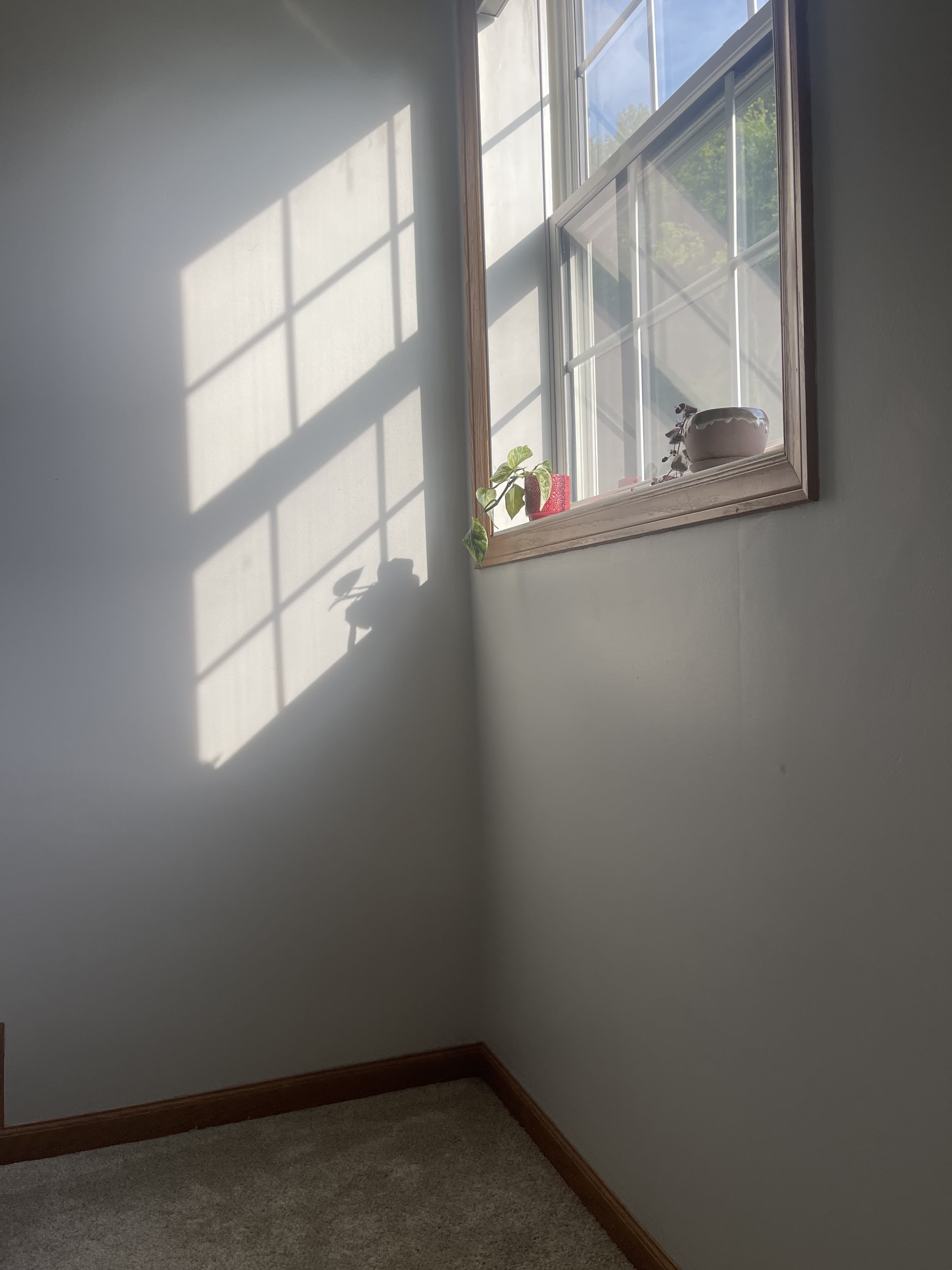 1880 Fisher Way – photo 3