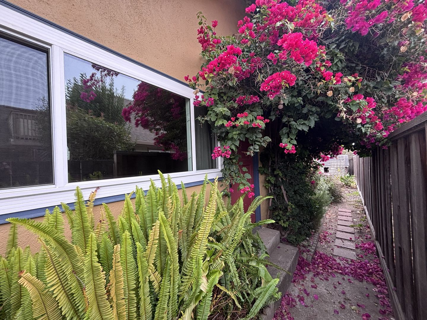 Cozy Soquel 1BR Retreat – photo 3