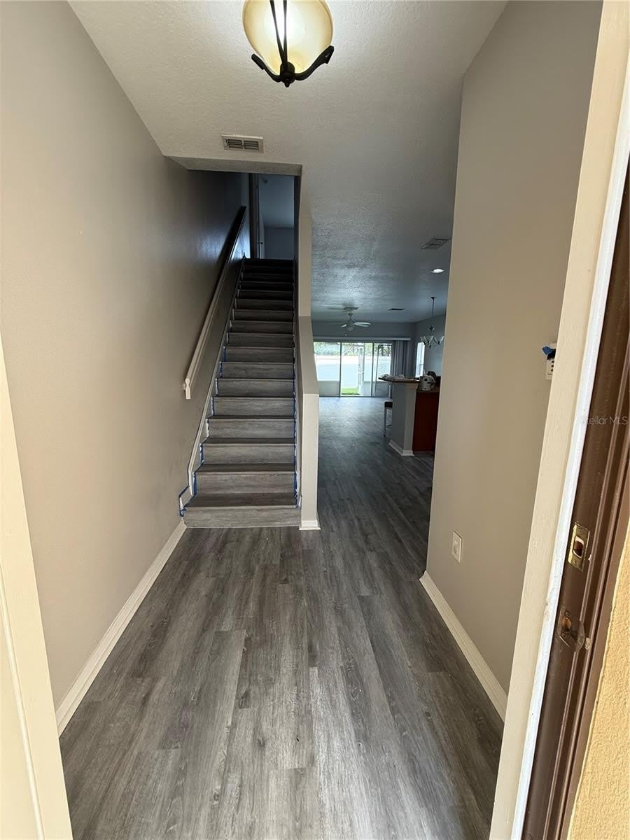 20460 NEEDLETREE Drive – photo 3