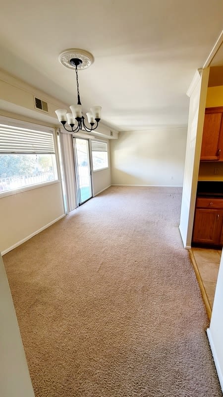 800 Brook Hill Rd – photo 5