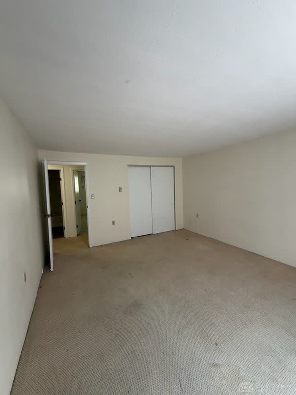 338 Grove Street – photo 5
