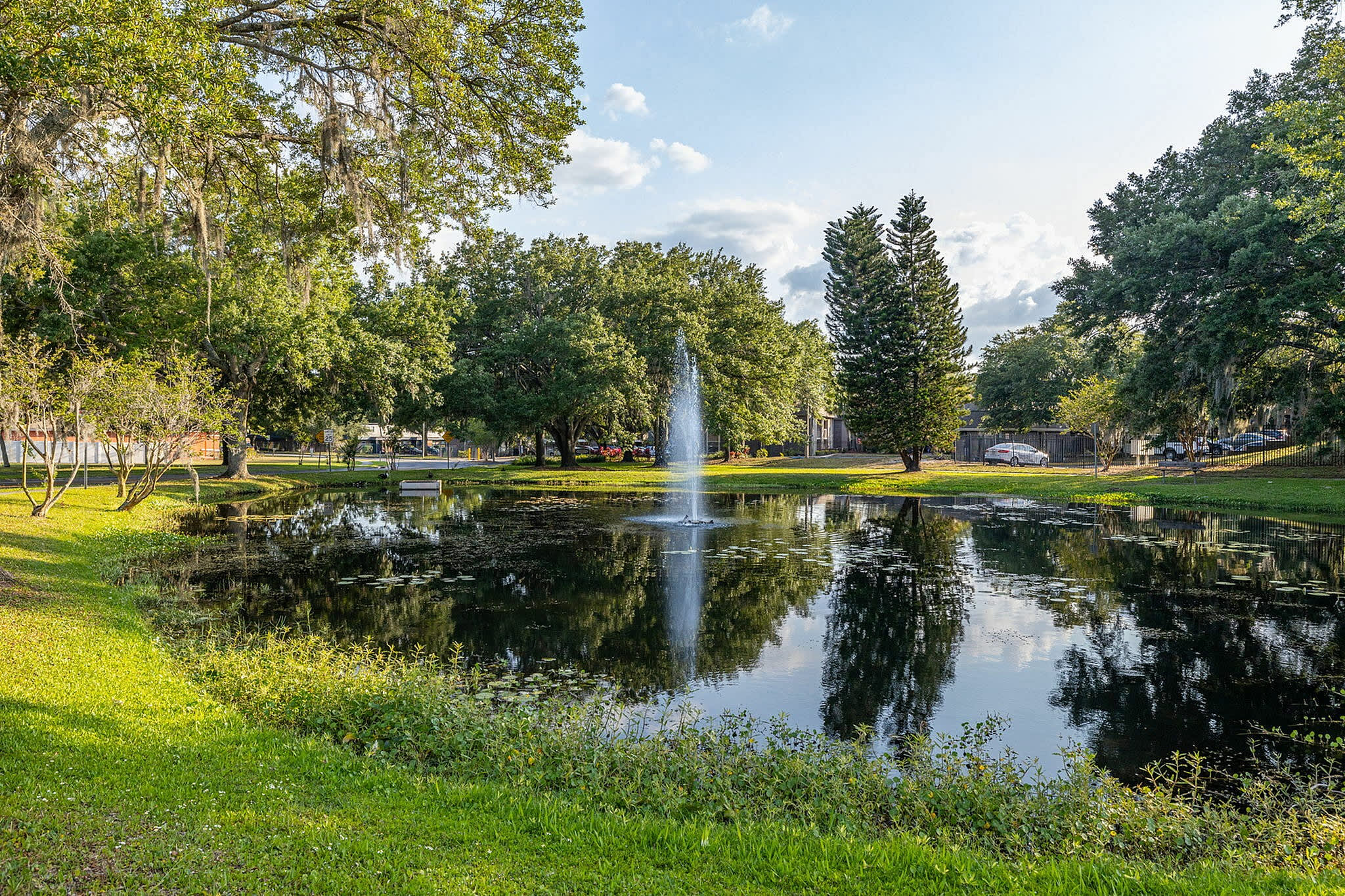 Doral Oaks – photo 4